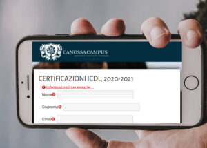 ICDL, Feedback